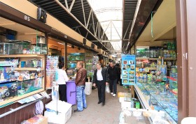 Современная Староконка